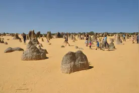 Wait A While —— 西澳图片