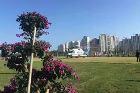 常在海南走，哪能不偶遇一次贝克汉姆？图片