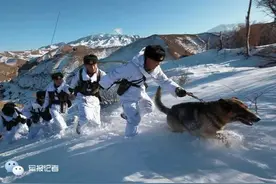 感人｜边防战士爱军犬：缺谁也不能缺了无言战友图片