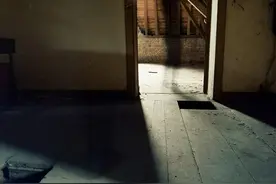 小说：危急！黑水里爬出来了未知生物图片