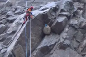 花果山悬崖处藏巨型蜂窝 消防员化身“孙大圣上天遁地”!