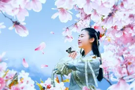 小说：卢小姐抛绣球招亲，男人们蜂拥而至，古代赘婿市场也很卷啊图片