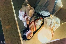 小说：堂堂六品青幽豹，竟然让一个小娃儿打得没有还手的机会！图片