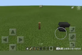 我的世界:彩色羊和倒立生物做法。