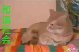 呵呵，不一样视频封面