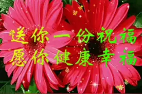祝朋友快乐幸福健康平安！视频封面
