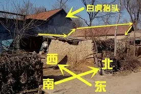 农村俗语“宁让青龙高万丈，不让白虎抬头望”为何意？有道理吗？图片
