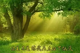 这首《我的未来不是梦》，简直是最好听的版本，百听不腻！视频封面