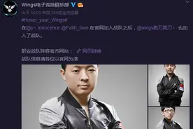 Wings全员离队！官方：已有三名成员回归图片
