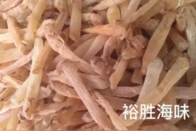 北海沙虫——“海底人参”图片