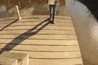 搞笑作死GIF：调戏鳄鱼的下场，鼻软骨碎了吧！图片