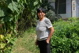 农村母亲的小菜园，自给自足的田园生活可真好！图片