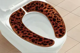 合肥人你知道吗？一个小小的马桶坐垫你都不能胡乱买！图片