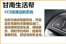 开车的你定速巡航很节油你试过吗？手把手教你使用定速巡航图片