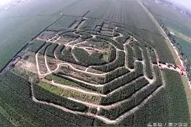 河北最大“玉米迷宫”园亮相汉牡丹文化之乡柏乡县图片