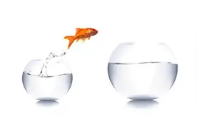 淘金币有何用？图片