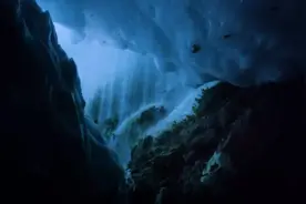 深海的顶级捕食者-鲨鱼图片