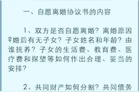 自愿离婚协议书范本（2016年版）图片
