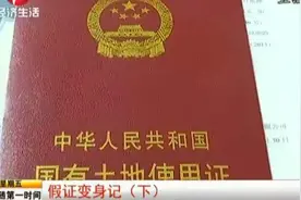 寿县一男子假的土地证和规划证办出真的房产证，去银行诈骗！上集视频封面