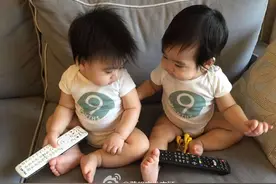 林志颖晒双胞胎儿子耍宝两小肉团萌爆了，网友:头发咋又炸毛啦？图片