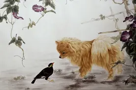 生肖狗不同出生时辰的命运图片