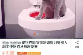 如何教会喵星人用马桶上厕所？图片