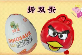 鸟蛋和恐龙蛋有什么不同呢？