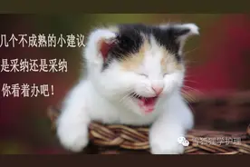 2017年护士执业资格考试复习建议图片