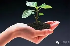 同是环境类专业，环境工程和环境科学区别究竟在哪图片