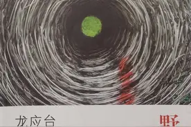 谁是龙应台疾声厉喝而不觉醒的人图片