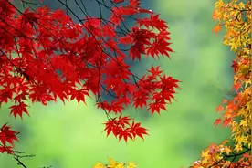 至今听过最男人的两句话图片