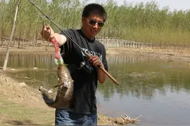 真实体验“打黑”武器的感官刺激图片