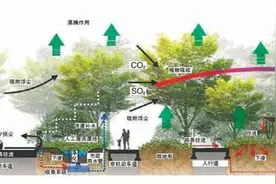 成都 “小街区”未来长成这样 有些单位大院要拆围墙图片