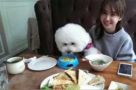 狗不嫌家贫，流浪汉也很无奈图片