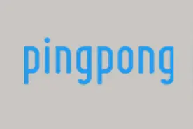 PingPong牵手Wish收款图片