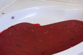一男子将1250瓶辣椒酱倒入浴缸中泡澡，这画面真的辣眼睛图片