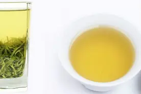 绿茶伤胃？红茶才养胃？视频封面