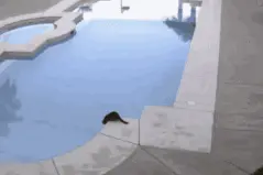 你有什么想不开的，可以告诉我！图片