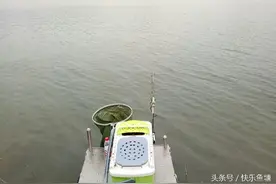 大鳊鱼！不小心人品又爆发了， 天元饵料钓翘嘴图片
