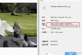 网上jpg动态图如何改成gif动态图，只需一步很简单就能搞定图片