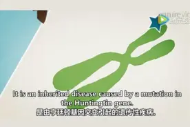 亨廷顿跳舞病，少数人“悬在头顶的利剑”图片