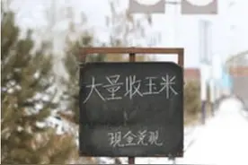 一天要把上万斤粮食扛上扛下，农村中的小商贩，挣钱最多也最辛苦图片