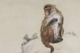 不同年份出生的生肖猴性格与命运图片