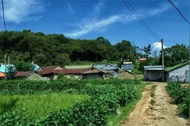 韩国农村的泥巴路，村头小河，农用拖拉机，你见过吗图片