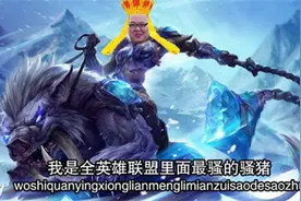 LOL主播哪些事之PDD——嫖老师图片