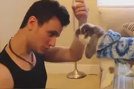 这年头，连兔子都成精了，居然当起了发型师！图片