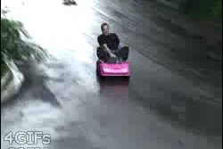 我不是故意的你信不信！图片