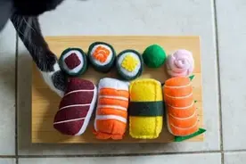 专属猫咪的可爱套餐《寿司猫咪玩具》只有主子可以玩食物图片