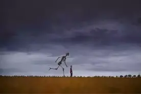 不期而遇，人如蝼蚁。图片