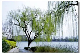可爱的老妈图片